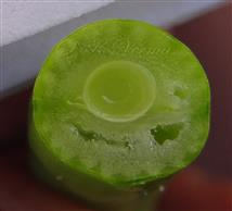  T.S.Fruit